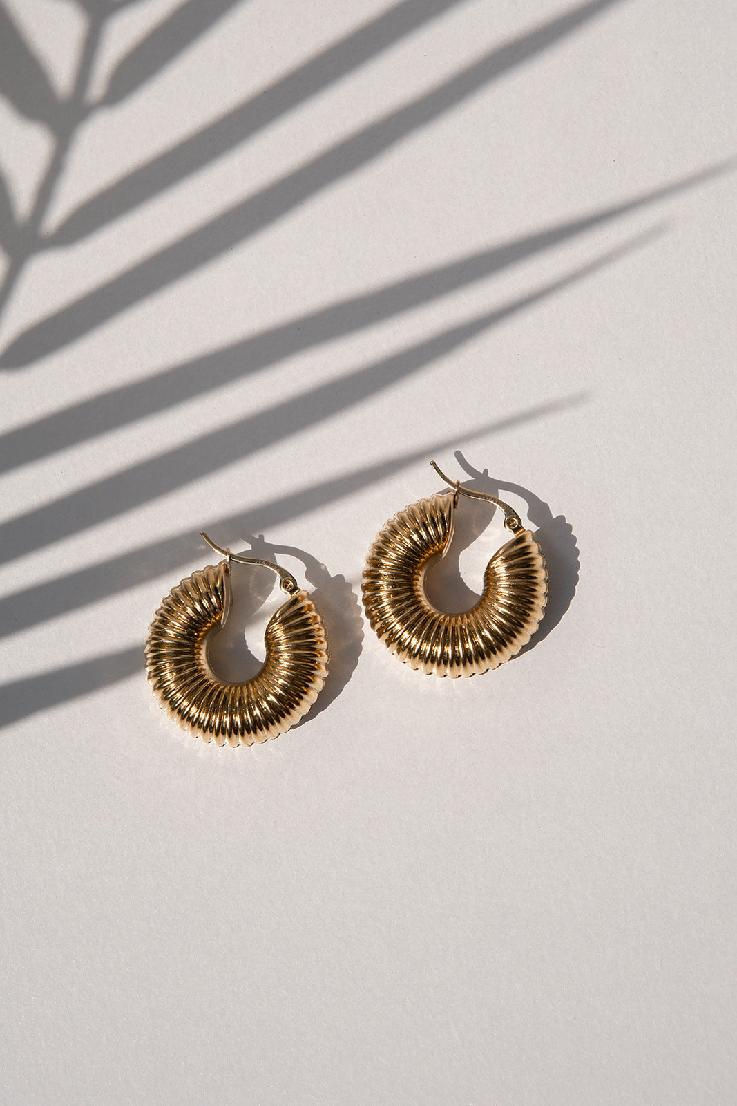 Gold Hoop Earrings