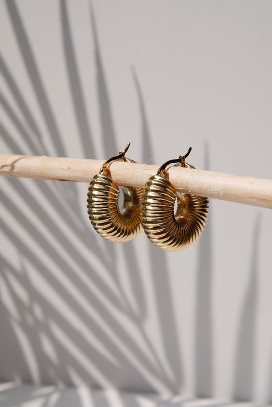 Gold Hoop Earrings